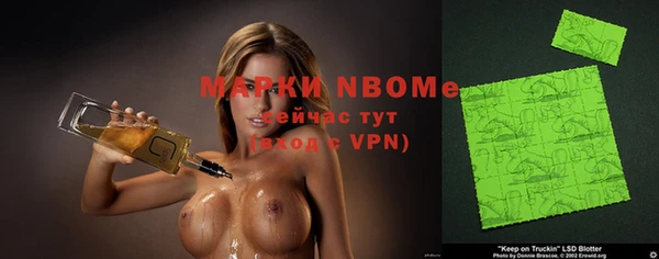 гидра Верхний Тагил