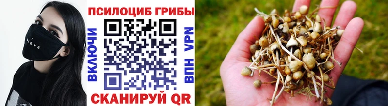 blacksprut ССЫЛКА  Вуктыл  Псилоцибиновые грибы прущие грибы 